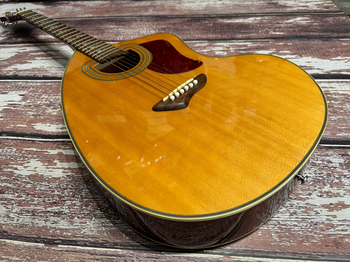 Jay Turser Giannini Electro acoustic