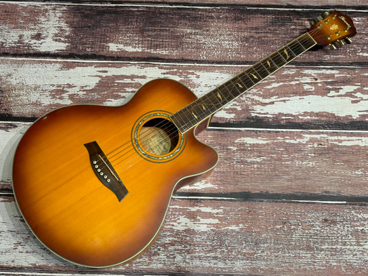 Ibanez Electro acoustic AEL40-SE