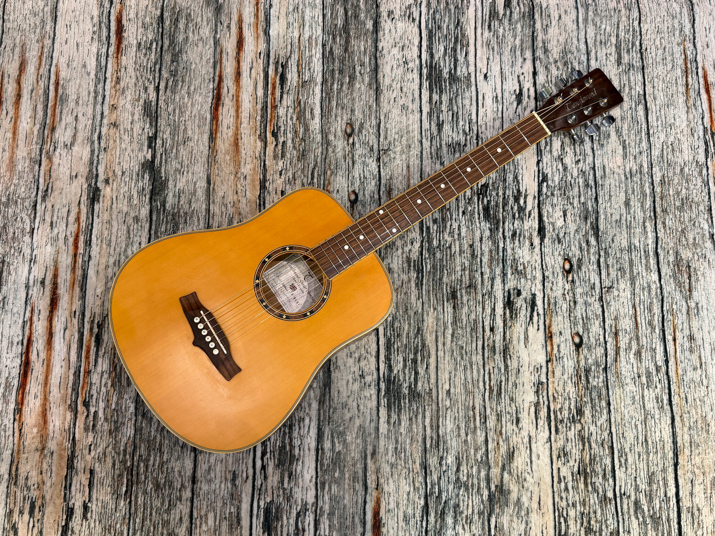 Tanglewood TW Baby - Travel acoustic