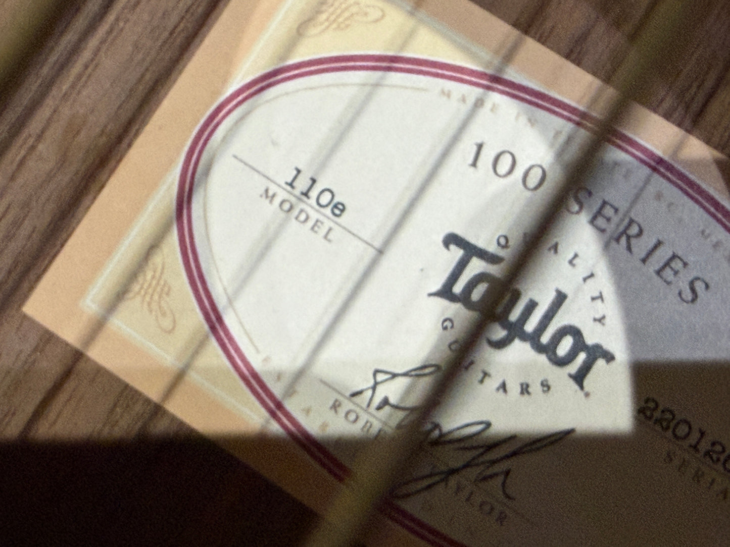 Taylor 110E electro dreadnought & case