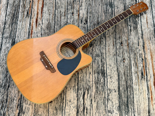 Earthfire Heatwave GA3090E Dreadnought solid top Electro acoustic