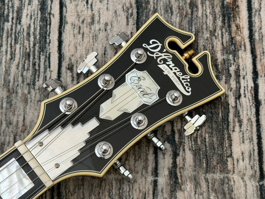 D'angelico Excel "SS" Semi hollow with hard case