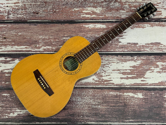 Simon and Patrick parlour acoustic