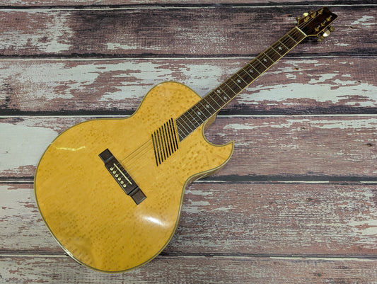 Washburn EA36