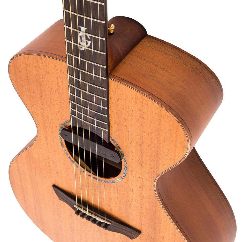 Vintage 'JG' Gordon Giltrap Signature Electro-Acoustic Guitar ~ Mahogany